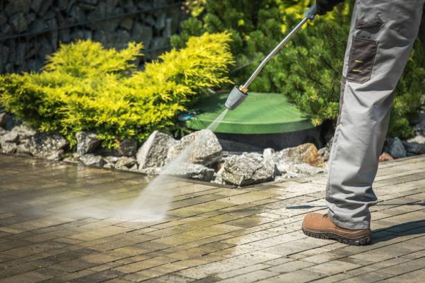 Best Gutter Cleaning  in Newton Falls, OH