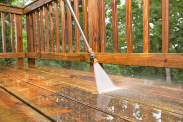 Best Rust Removal  in Newton Falls, OH